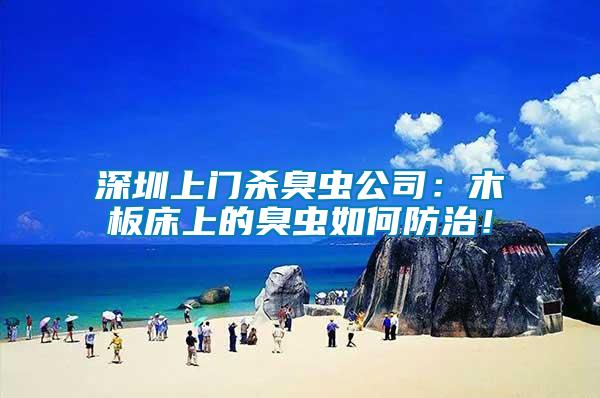 深圳上門殺臭蟲公司:木板床上的臭蟲如何防治!