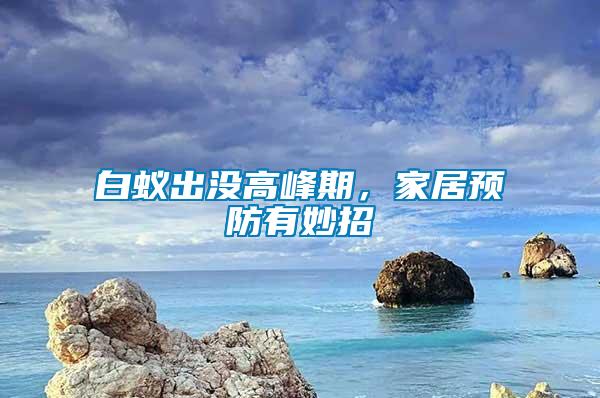 白蟻出沒高峰期,家居預(yù)防有妙招