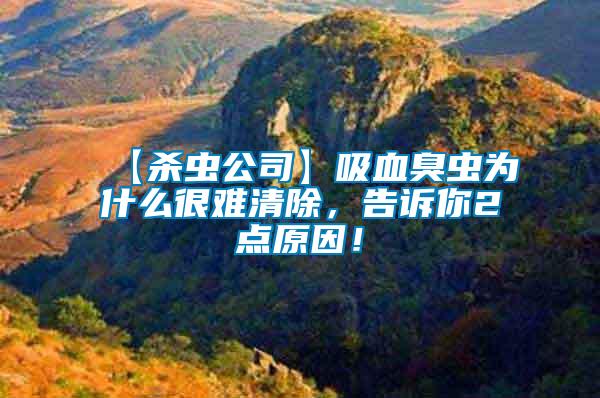 【殺蟲公司】吸血臭蟲為什么很難清除，告訴你2點原因！