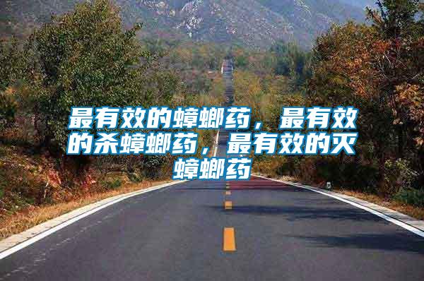 最有效的蟑螂藥，最有效的殺蟑螂藥，最有效的滅蟑螂藥