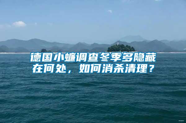 德國小蠊調查冬季多隱藏在何處,如何消殺清理?