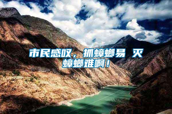 市民感嘆,抓蟑螂易 滅蟑螂難啊!