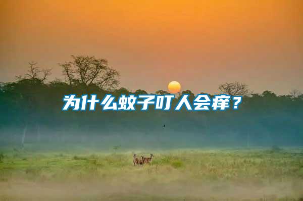 為什么蚊子叮人會癢?