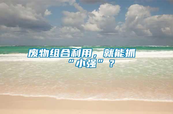 廢物組合利用,就能抓“小強”?
