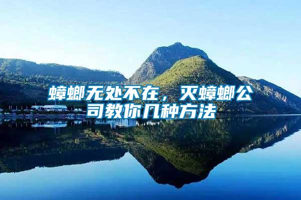 蟑螂無(wú)處不在,滅蟑螂公司教你幾種方法