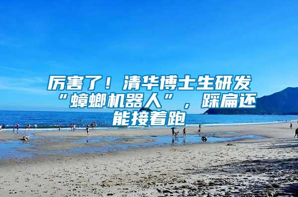 厲害了！清華博士生研發“蟑螂機器人”，踩扁還能接著跑