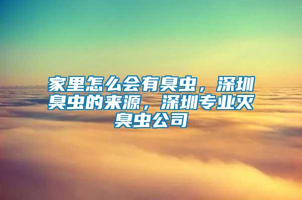 家里怎么會有臭蟲，深圳臭蟲的來源，深圳專業滅臭蟲公司