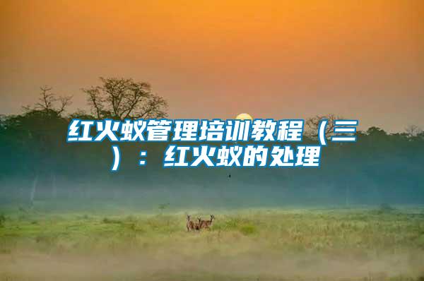 紅火蟻管理培訓教程(三):紅火蟻的處理