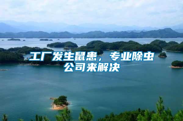 工廠發生鼠患，專業除蟲公司來解決