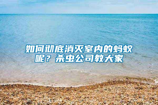 如何徹底消滅室內(nèi)的螞蟻呢?殺蟲(chóng)公司教大家