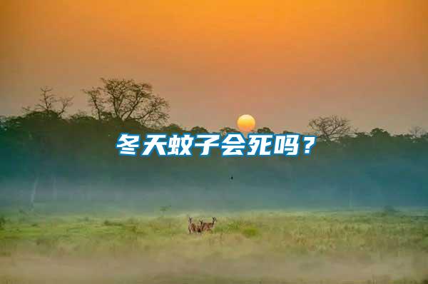 冬天蚊子會死嗎？