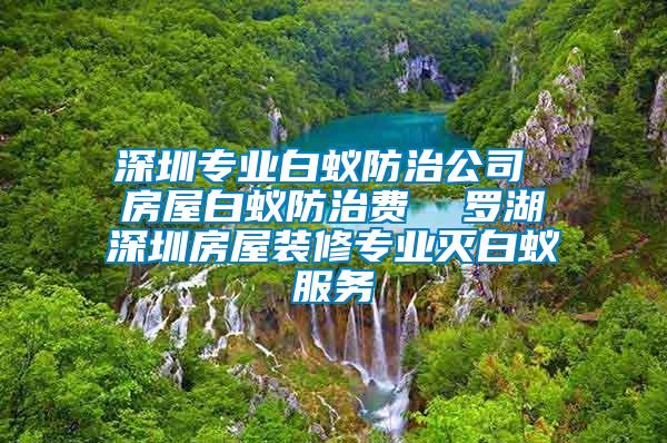 深圳專業白蟻防治公司 房屋白蟻防治費  羅湖深圳房屋裝修專業滅白蟻服務