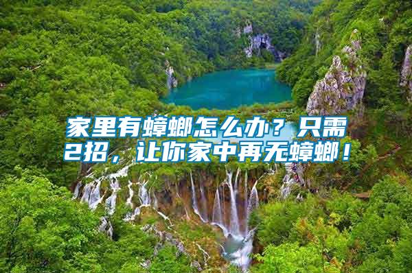 家里有蟑螂怎么辦?只需2招,讓你家中再無(wú)蟑螂!