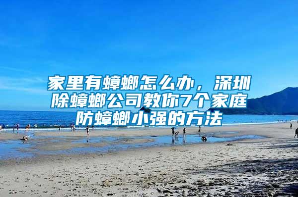 家里有蟑螂怎么辦,深圳除蟑螂公司教你7個家庭防蟑螂小強的方法