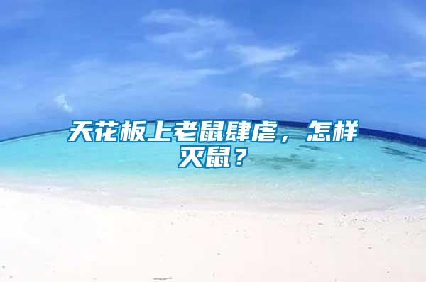 天花板上老鼠肆虐,怎樣滅鼠?