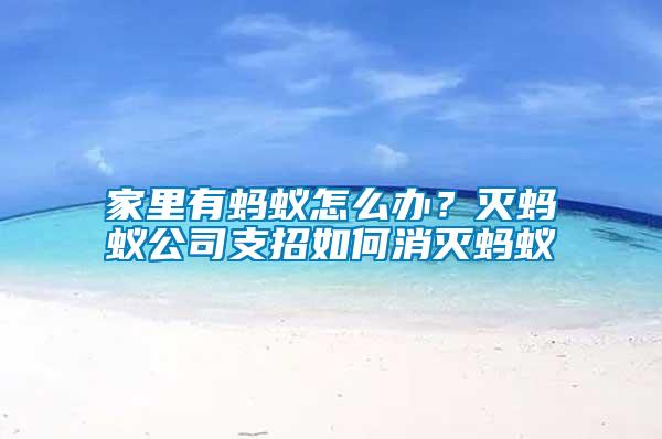 家里有螞蟻怎么辦?滅螞蟻公司支招如何消滅螞蟻