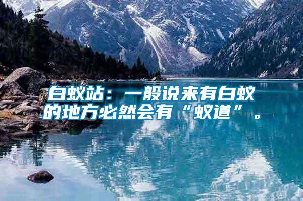 白蟻站：一般說來有白蟻的地方必然會有“蟻道”。