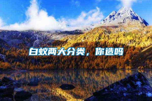 白蟻兩大分類,你造嗎