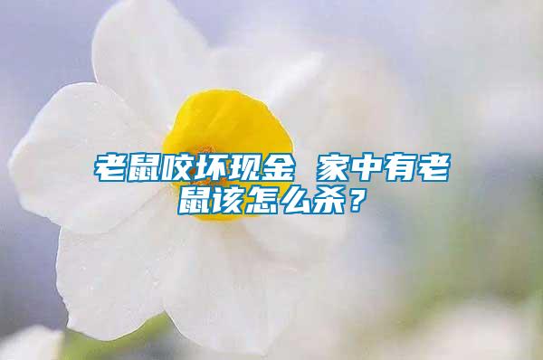 老鼠咬壞現(xiàn)金 家中有老鼠該怎么殺?