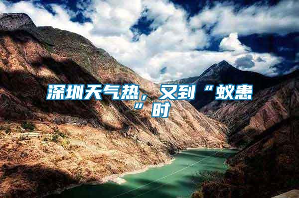 深圳天氣熱,又到“蟻患”時