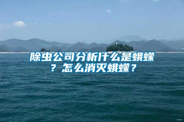 除蟲(chóng)公司分析什么是蛾蠓?怎么消滅蛾蠓?