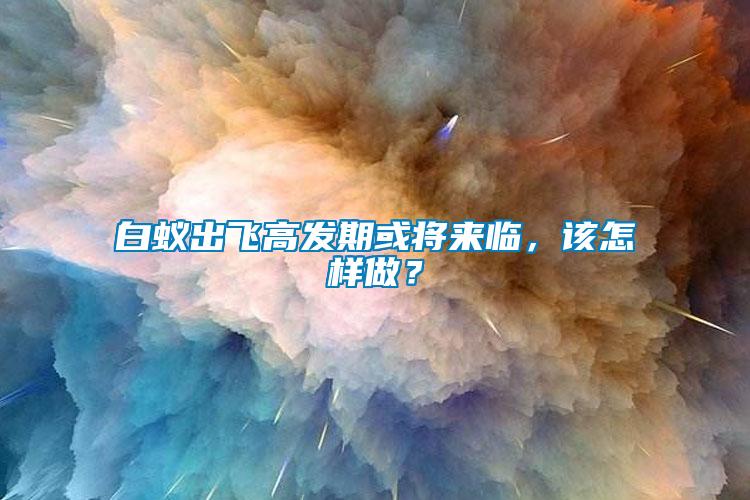 白蟻出飛高發(fā)期或?qū)砼R,該怎樣做?
