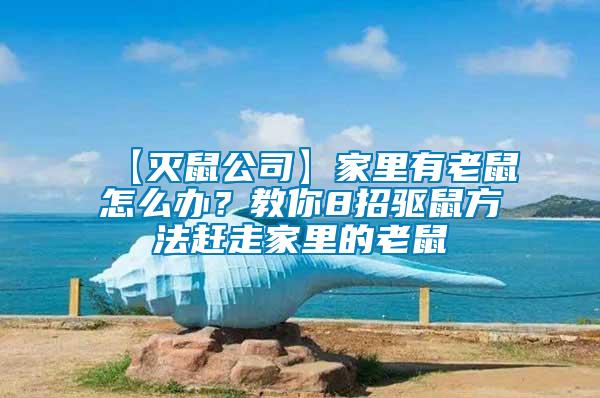 【滅鼠公司】家里有老鼠怎么辦?教你8招驅(qū)鼠方法趕走家里的老鼠