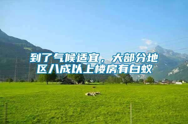 到了氣候適宜,大部分地區八成以上樓房有白蟻