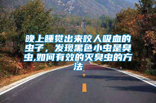晚上睡覺出來咬人吸血的蟲子,發現黑色小蟲是臭蟲,如何有效的滅臭蟲的方法