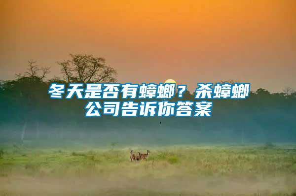 冬天是否有蟑螂？殺蟑螂公司告訴你答案