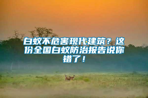白蟻不危害現代建筑？這份全國白蟻防治報告說你錯了！