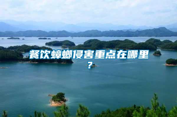 餐飲蟑螂侵害重點在哪里?