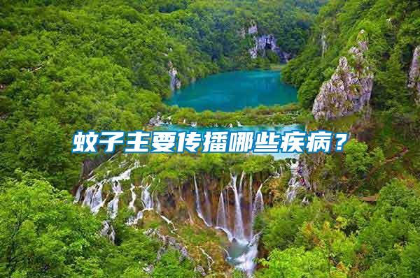 蚊子主要傳播哪些疾病？