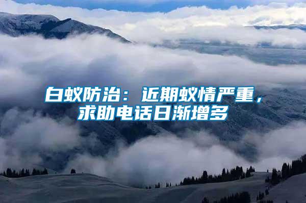 白蟻防治：近期蟻情嚴重，求助電話日漸增多