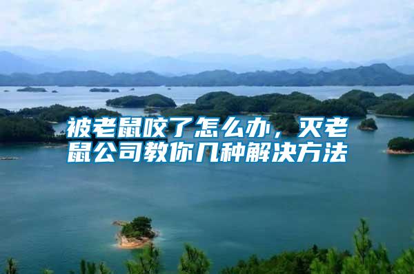 被老鼠咬了怎么辦，滅老鼠公司教你幾種解決方法