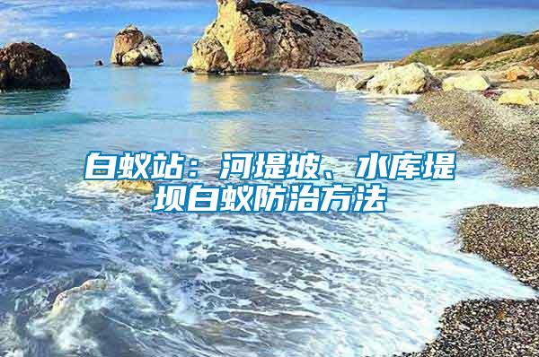 白蟻站:河堤坡、水庫堤壩白蟻防治方法