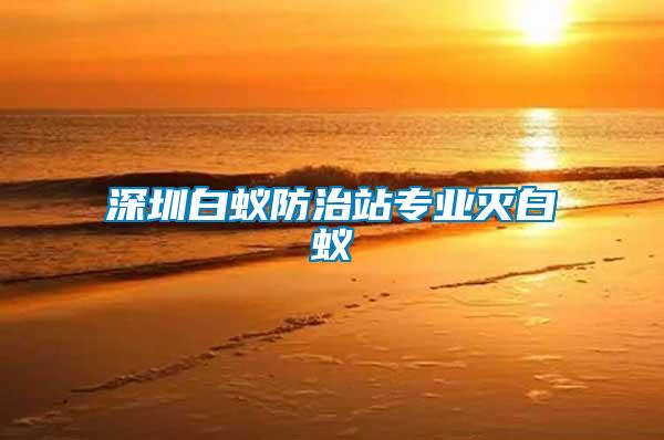 深圳白蟻防治站專業滅白蟻