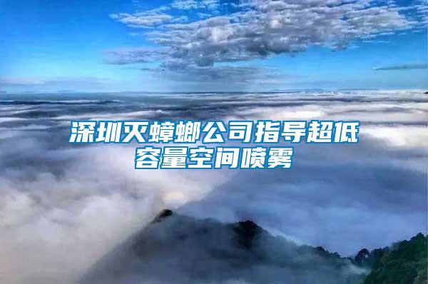 深圳滅蟑螂公司指導超低容量空間噴霧