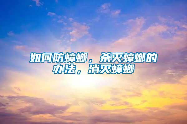 如何防蟑螂，殺滅蟑螂的辦法，消滅蟑螂