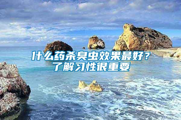 什么藥殺臭蟲效果最好?了解習(xí)性很重要