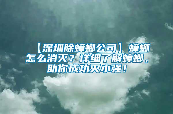 【深圳除蟑螂公司】蟑螂怎么消滅?詳細了解蟑螂,助你成功滅小強!