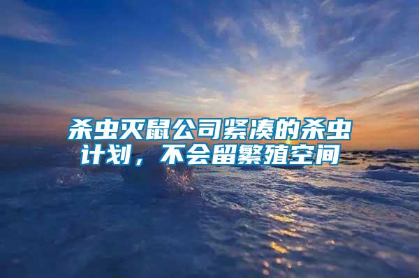 殺蟲滅鼠公司緊湊的殺蟲計劃,不會留繁殖空間