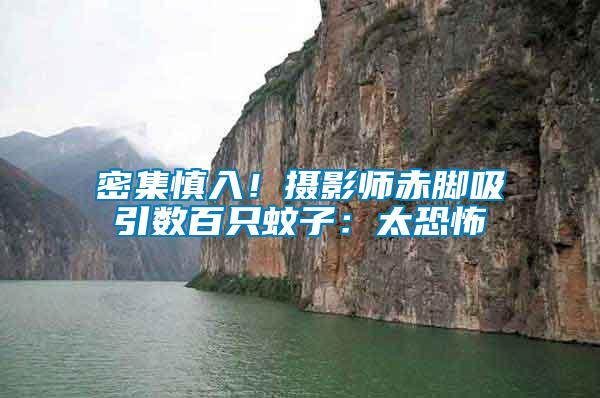 密集慎入!攝影師赤腳吸引數百只蚊子:太恐怖