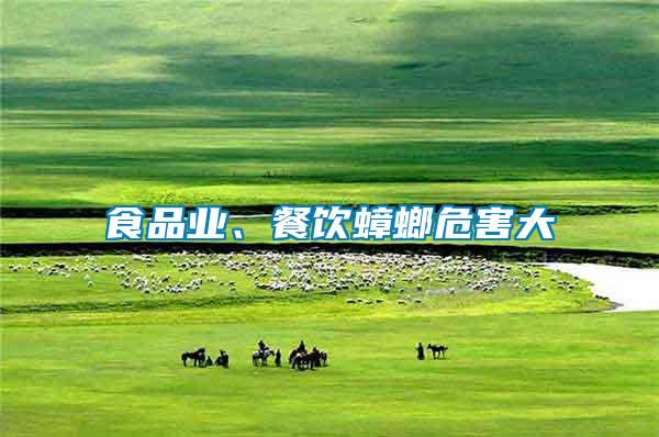 食品業(yè)、餐飲蟑螂危害大