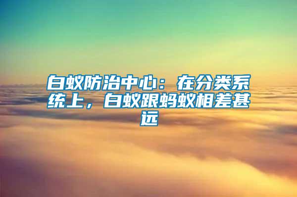 白蟻防治中心：在分類系統(tǒng)上，白蟻跟螞蟻相差甚遠