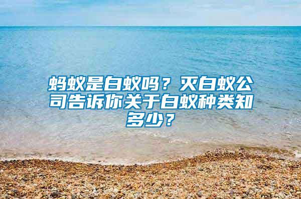 螞蟻是白蟻嗎？滅白蟻公司告訴你關(guān)于白蟻種類(lèi)知多少？