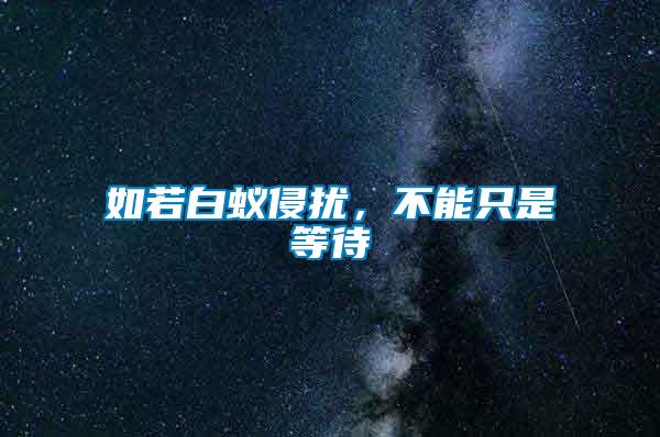 如若白蟻侵?jǐn)_，不能只是等待