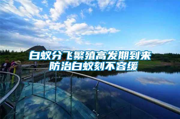 白蟻分飛繁殖高發(fā)期到來(lái) 防治白蟻刻不容緩
