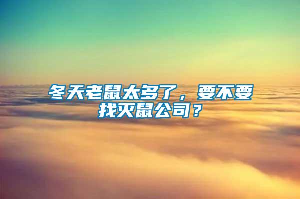 冬天老鼠太多了，要不要找滅鼠公司？