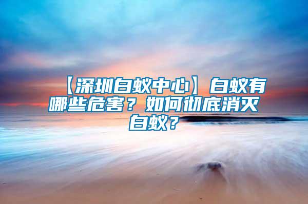 【深圳白蟻中心】白蟻有哪些危害?如何徹底消滅白蟻?